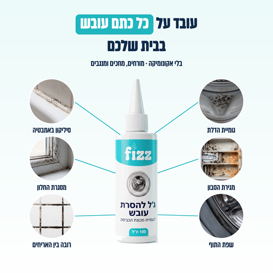 עובד על כל כתם עובש בבית